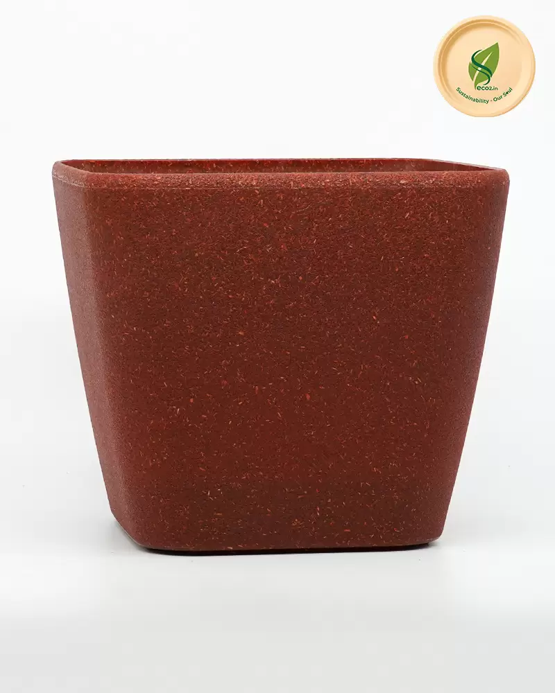 Eco Royal Daisy Planter image
